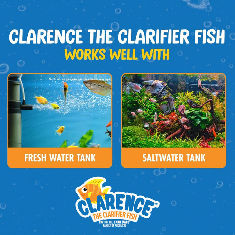 Clarence the Clarifier Fish - 1 pk, Purple - Aquarium Treatment, Clear Cloudy Fresh-Saltwater, Fish-Plant Safe, 10gal Tank Maintenance Each 1 Pack