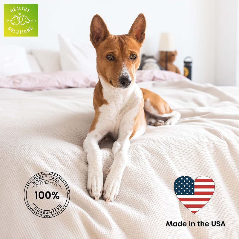 Bitter Spray for Dogs - No Chew Spray - Best No Bite Spray for Dog, Puppies, & Cats - Stop Pets from Chewing on Furniture, Paw, Wounds & More - Water Based Formula Does Not Sting or Stain - PawsPlanet Australia
