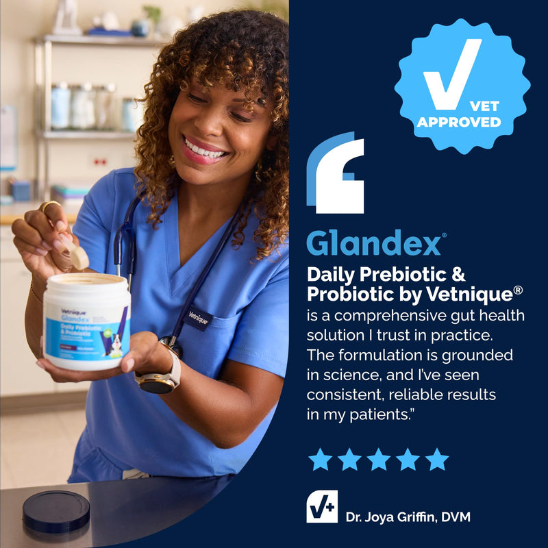 Vetnique Glandex Dog Probiotic Powder, Daily Probiotics for Dogs 5 Strains, Prebiotics & Digestive Enzymes for Gut & Immune Health, Vet Formulated for Occasional Diarrhea (4.25oz Powder, Pork Powder) Probiotic Pork Powder 4.25oz Powder