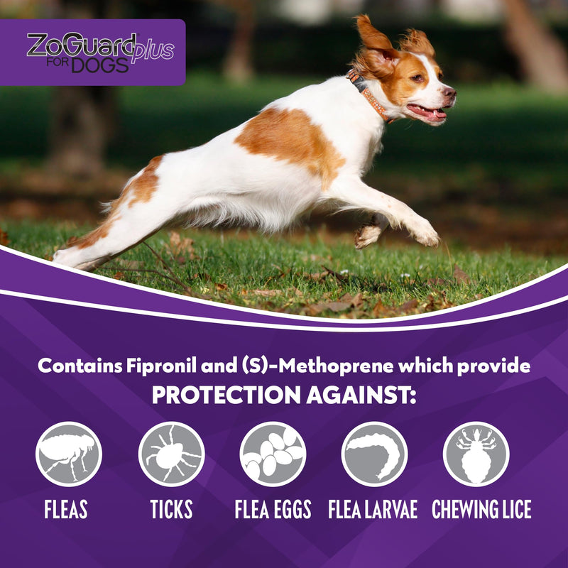 ZoGuard Plus Flea and Tick Prevention for Medium Dogs – Flea & Tick Prevention for Dogs 23-44lbs 6 Month Supply, Pack of 2
