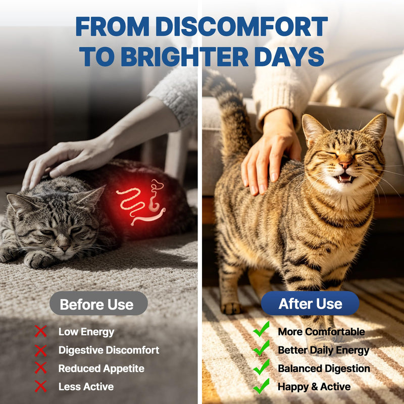 lveɾmec Dew0ɾmeɾ Liquid for Cats, Natural Broad Spectrum Gut Safeguard for Kittens and Adult Cats-Targets Common Internal Concerns | Fast-Acting Supports Digestive Comfort, Immune Wellness & Energy