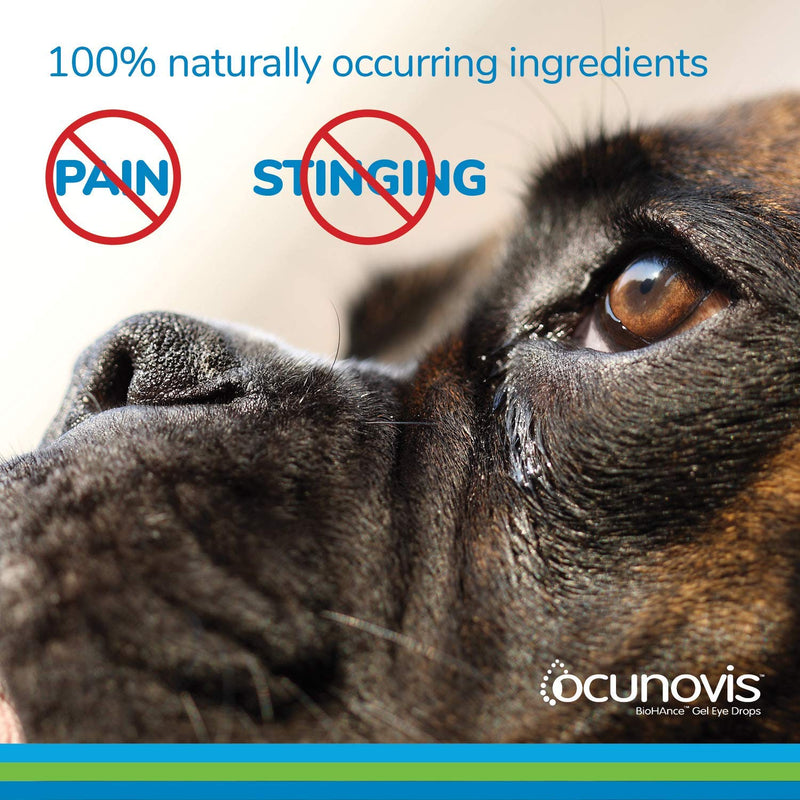 Eye Lube for Dogs and Cats, Ocunovis BioHAnce Gel Eye Drops Artificial Tears for Dog Dry Eye and Cat Dry Eye - PawsPlanet Australia