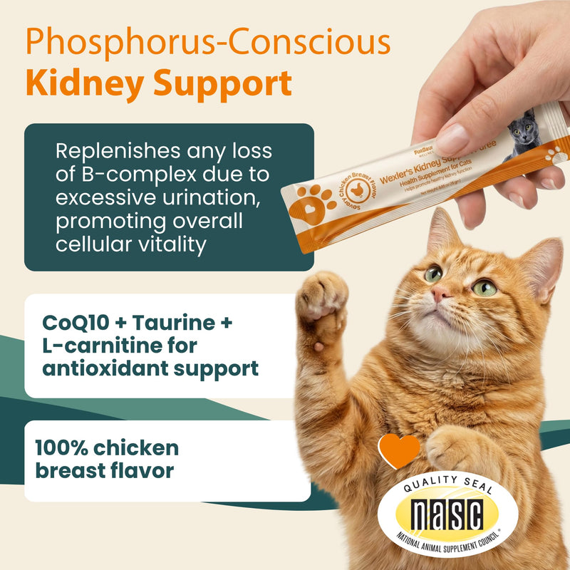 Wellness Kidney Support Purée for Cats - Renal Cat Health Supplement with Taurine, L-Carnitine, CoQ10, B-Complex, Yucca - Phosphorus-Conscious with Savory Chicken Breast Flavor - 10 Tubes 10 Pack