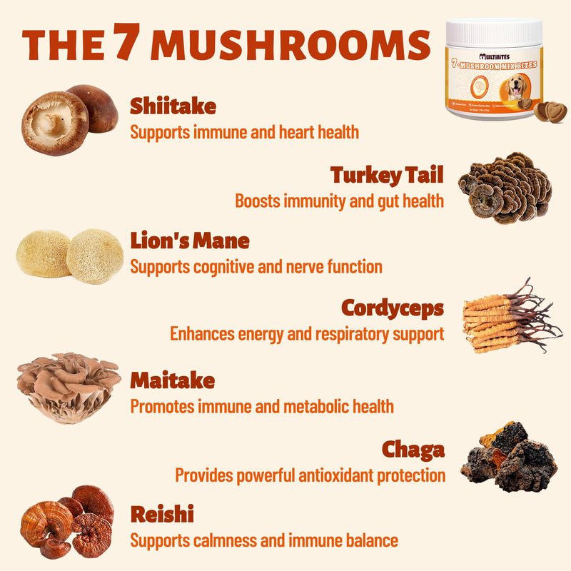 Mushroom Supplement for Dogs - Supports Antioxidant & Immune Defense, Gut, Skin, Joint & Urinary Tract Health, 7-Mushroom Complex (Turkey Tail, Lion's Mane, Reishi & 4 Others) – 330 Chews