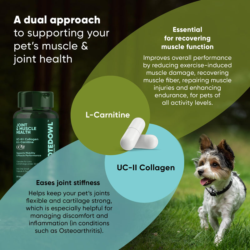 Natural Supplements Joint & Muscle Health Capsules - Hip and Joint Supplements for Cats and Small Dogs with UC-II Type II Collagen and L-Carnitine - 30/ct - PawsPlanet Australia