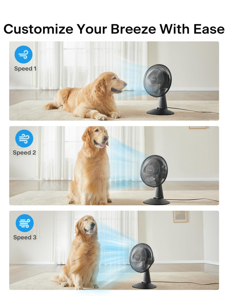 PELONIS Table Fan 12-Inch, 120° Oscillating Table Fan Small Portable Electric Plug-In Desk Fan with 3-Speeds, 126° Adjustable Tilt Head for Bedroom and Office Black 9 inch Table Fan