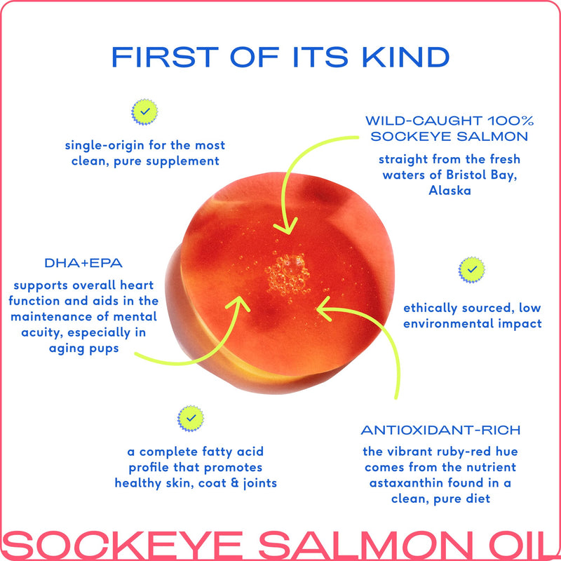 Native Pet Salmon Oil for Dogs & Cats – Pure Omega-3 Fish Oil for Dogs Supplement for Skin & Coat, Joint, & Heart Health & Dog Anti-Inflammatory – 100% Wild-Caught Alaskan Sockeye Salmon – 8 oz - PawsPlanet Australia