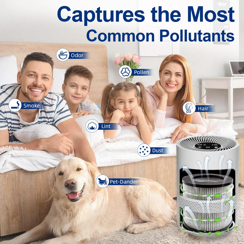 2801 Replacement Filter Compatible with Bissell MYair Personal Air Purifier 2780 2780A 2780B 2780P and 27809 - Compare to My Air Part 2801, High Efficiency Activated Carbon Filters (2 Pack) 2 Count (Pack of 1)