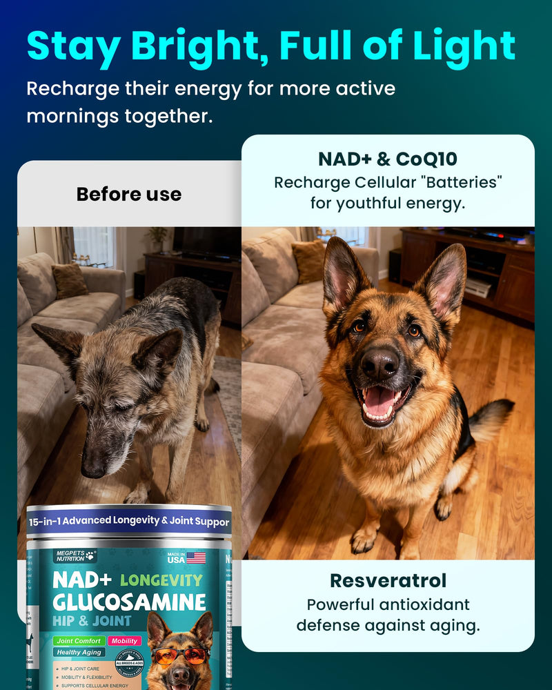 NAD+ Glucosamine for Dogs Hip and Joint Supplement - 300 Soft Chews - Advanced Mobility Support with MSM, Chondroitin, Resveratrol & CoQ10 - Healthy Aging & Vitality Brown