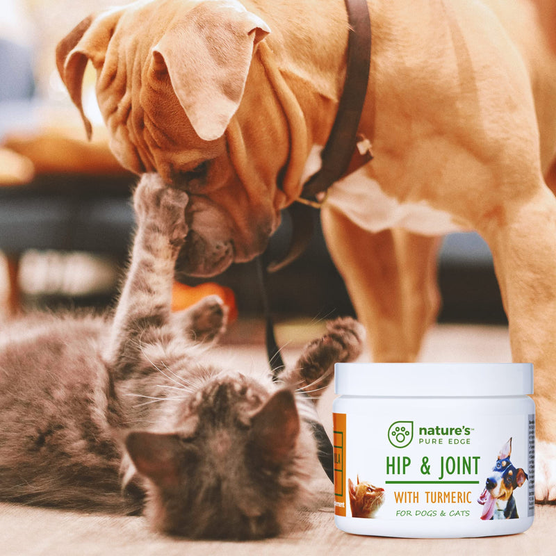 Powerful PET Hip & Joint - with Organic Turmeric - Natural Ingredients - Triple Strength - Chondroitin - Glucosamine - MSM - Organic Sea Coral Calcium. Extra Large 170 Grams. - PawsPlanet Australia