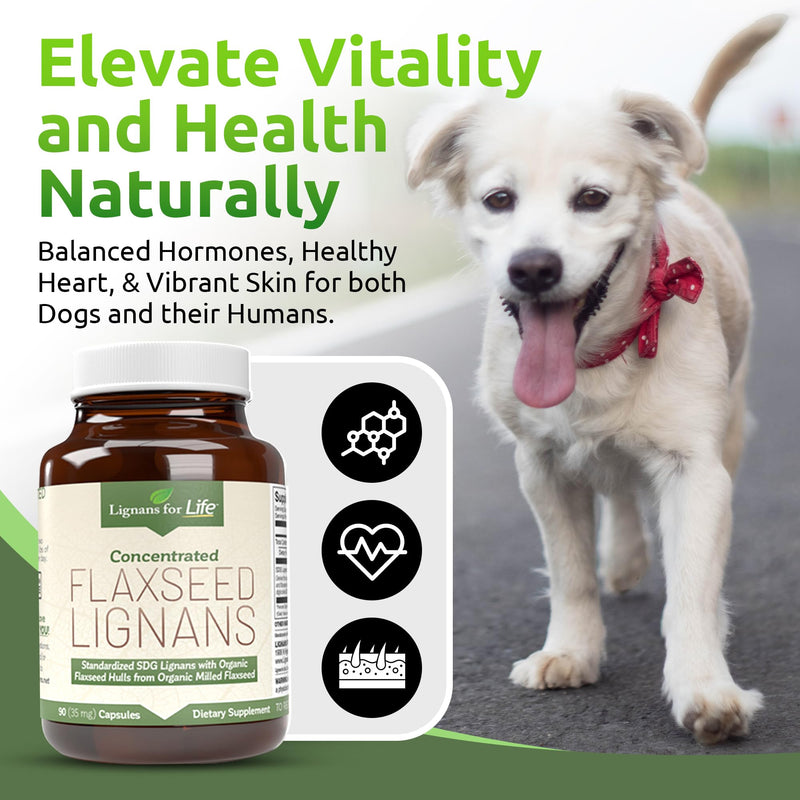 Lignans for Life Flaxseed Lignans for Dogs & People + SDG - Omega 3 Fatty Acids, High Fiber Antioxidants - Improve Shiny Coat, Digestive & Heart Health for Dogs, 35mg, 90 Flaxseed Capsules, 1 Pack 35mg, 90 Capsules, 1 Bottle - PawsPlanet Australia