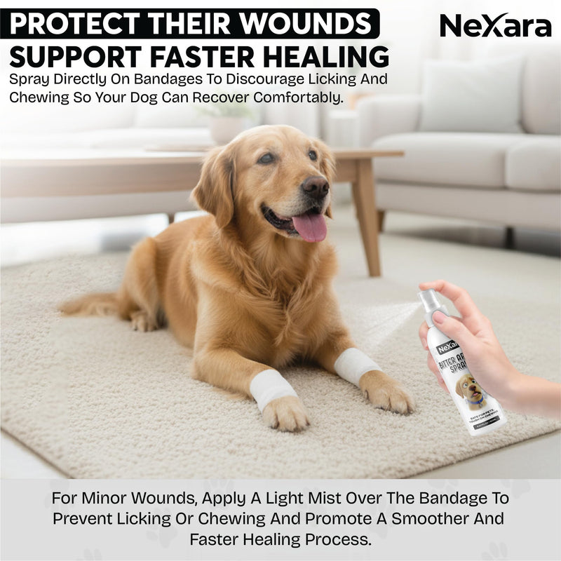 NEXARA Bitter Apple Spray for Dogs, Chewing Deterrent Spray, Alcohol-Free, Non-Toxic Formula, 5.07 fl oz (150 ml)