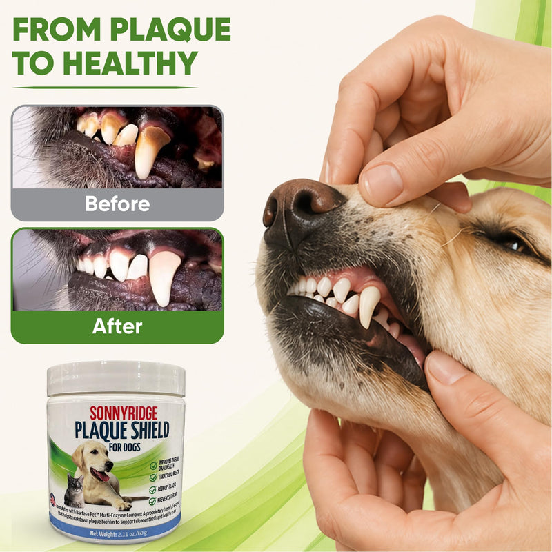 Dog Dental Powder for Dogs & Cats – Bactase Pet™ Enzymes, Astaxanthin & Ascophyllum Nodosum – Helps Reduce Plaque & Tartar, Freshens Breath & Supports Healthy Gums– Made in USA– 30 Servings