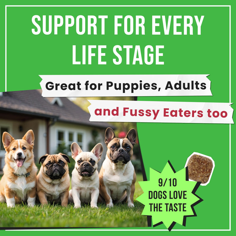 No Poo Chews for Dogs - Coprophagia & Stool Eating Deterrent with Probiotics, Digestive Enzymes & Breath Aid Support - Stop Dog Poop Eating - Made in USA - 120 Soft Chews 120 NO POO Probiotics NO Poo Chews - PawsPlanet Australia