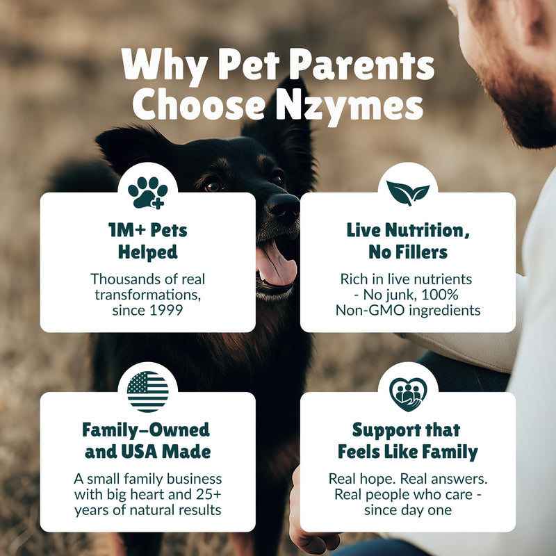 Nzymes® Antioxidant Treats - for Dogs Joints, HIPS, Paralysis, Skin, Coat, Hair Loss, Aging, Digestion, Neurological, Seizures - 60 Treats - Made in The USA Large Breed 1 Bottle