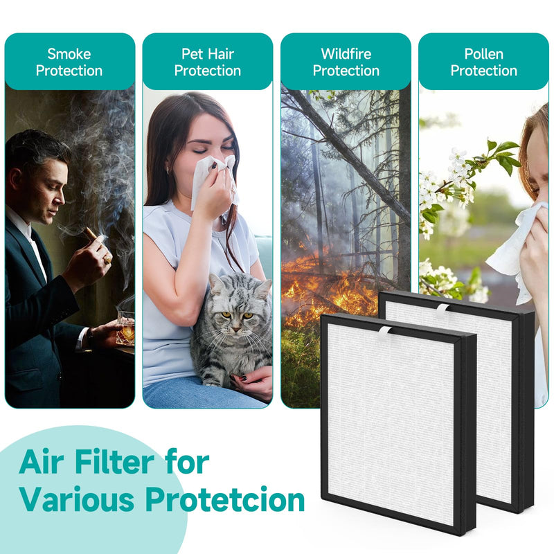 JH-028A JH-028A-F Filter Replacement, Compatible with BlueDate JH-028A Purifier, 3 -in-1 Filtration System, 2 Pack