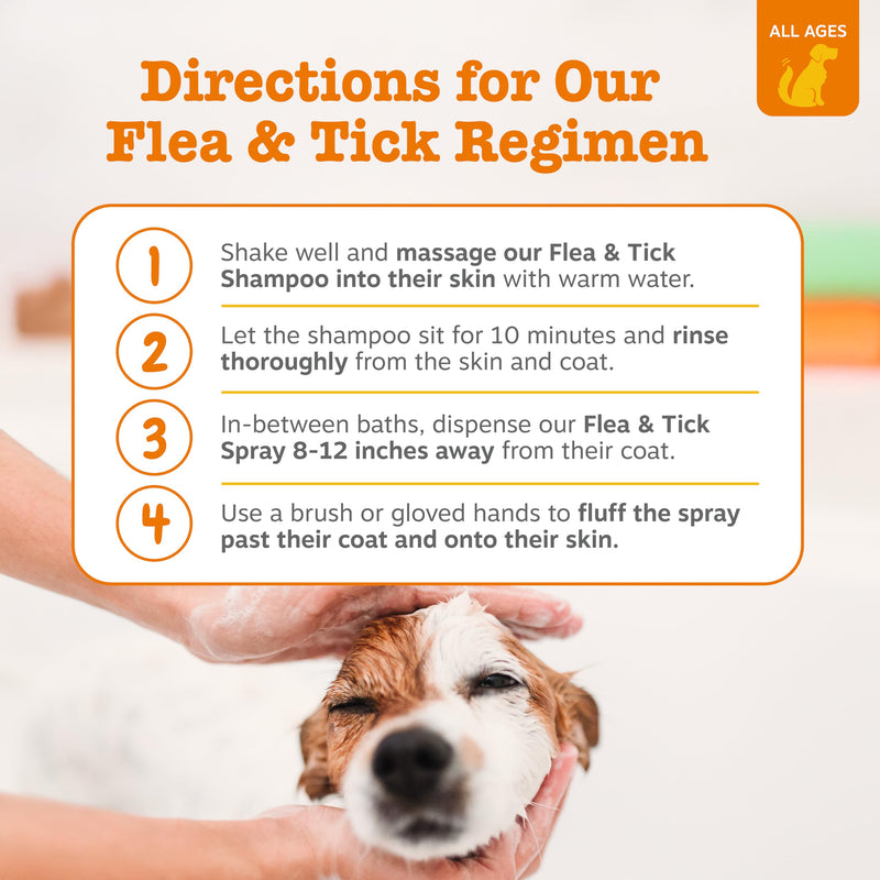Zesty Paws Wild Alaskan Omega-3 Blend Pollock + Salmon Oil + Flea and Tick Shampoo for Dogs