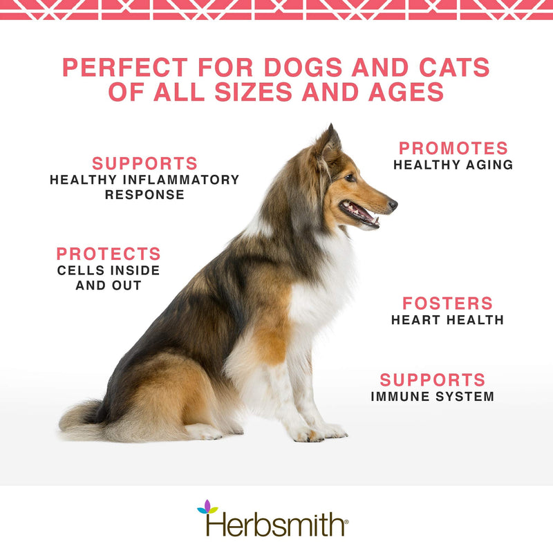 Herbsmith Pure Krill - Wild-Caught Antarctic Krill - Just 1 Ingredient - Astaxanthin for Dogs - Ready-to-Use Omega 3s – Alternative to Krill Oil for Dogs - 75g - PawsPlanet Australia