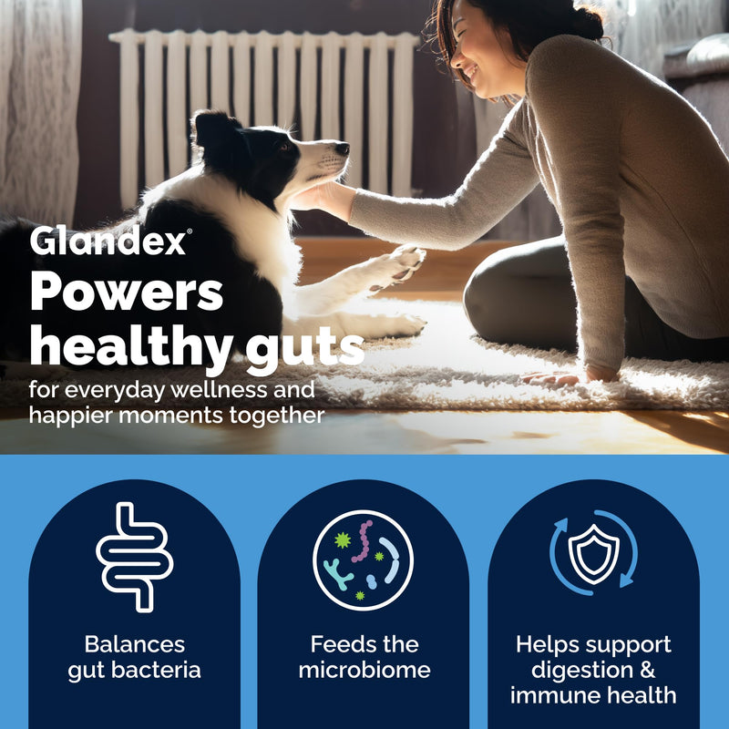 Vetnique Glandex for Dogs Prebiotic & Probiotic Supplement Chews 30 Count Bacon Flavor Plus Glandex Anal Gland Support Chews 60 Count Peanut Butter Flavor Bundle, 5-Strain Probiotics for Dogs