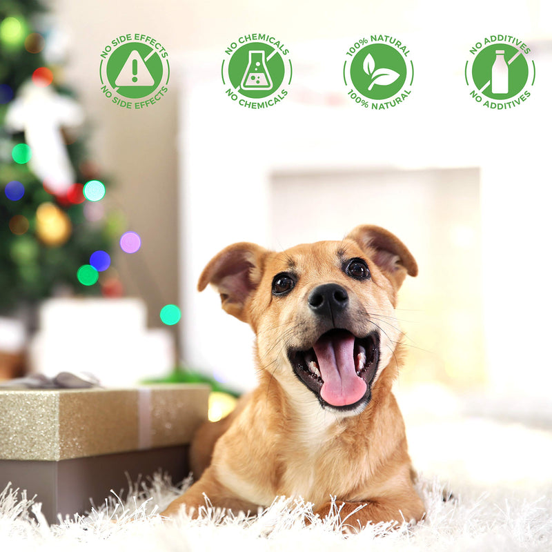 BestLife4Pets Oral Health for Dogs Dental Remedy - Highly Effective Natural Treatment for Inflammatory & Ulcerative Ailments, Stomatitis and Gingivitis. No Smell, No Side Effects - PawsPlanet Australia