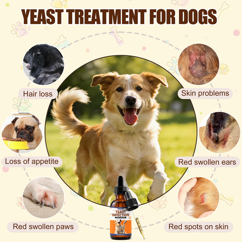 Yeast Infection Treatment for Dogs | Dog Ear Yeast Infection Treatment, Soothes Skin, Relieves Itching, Reduces Redness and Swelling, Eliminates Odors, 60ml Bacon Flavor 1PCS