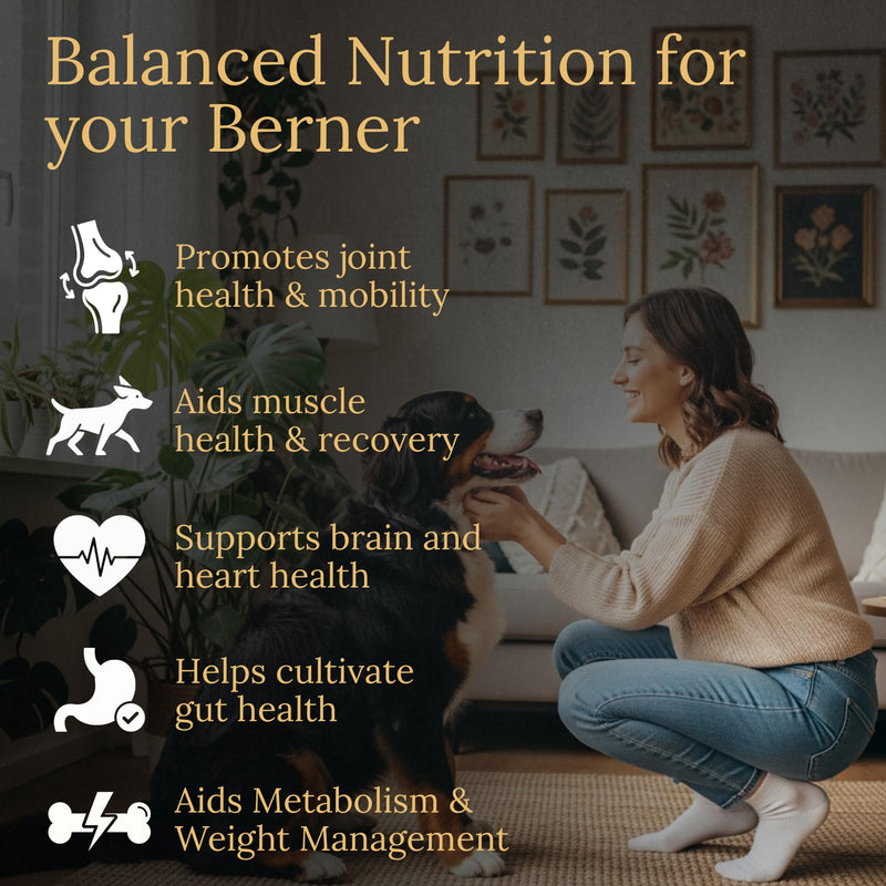 Bernese Mountain Dog Multivitamins, 90 Count, Made in the USA with Real Bacon.