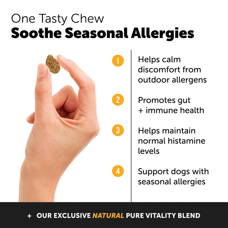 PetHonesty Allergy Support + Hip & Joint Health Soft Chew Bundle - Skin & Seasonal Pollen Allergies - Itch Relief for Dogs - Joint Support, Chondroitin, MSM, Turmeric, Pet Joint Pain Relief Vitamin - PawsPlanet Australia