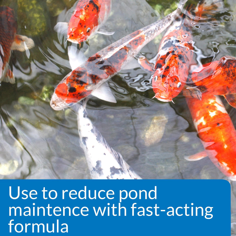 API POND SIMPLY CLEAR Pond Water Clarifier 16-Ounce Bottle (248B) Pond Treatment