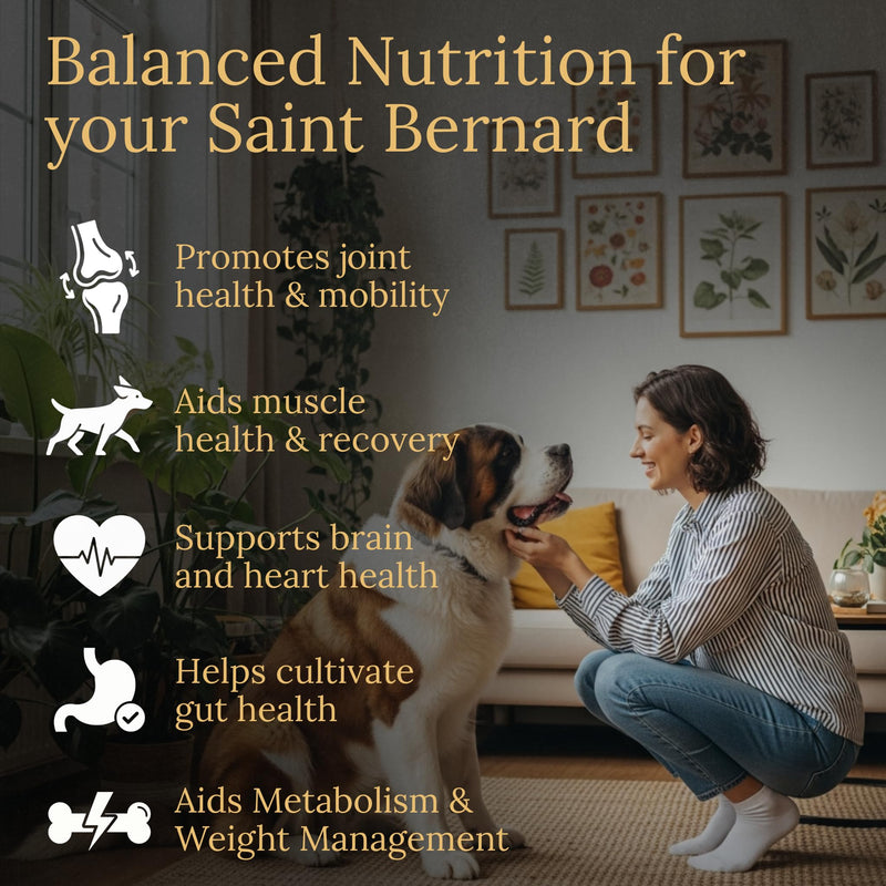 Saint Bernard Multivitamins, 90 Count, Made in the USA with Real Bacon.
