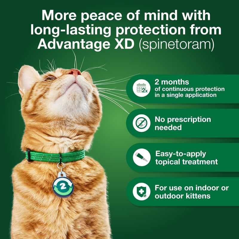 Bundle of Advantage XD Large Cat Over 9lbs. + Pet Protect Omega 3 Supplement for Small Dogs & Cats | 60 Capsules Large Cat + Omega 3
