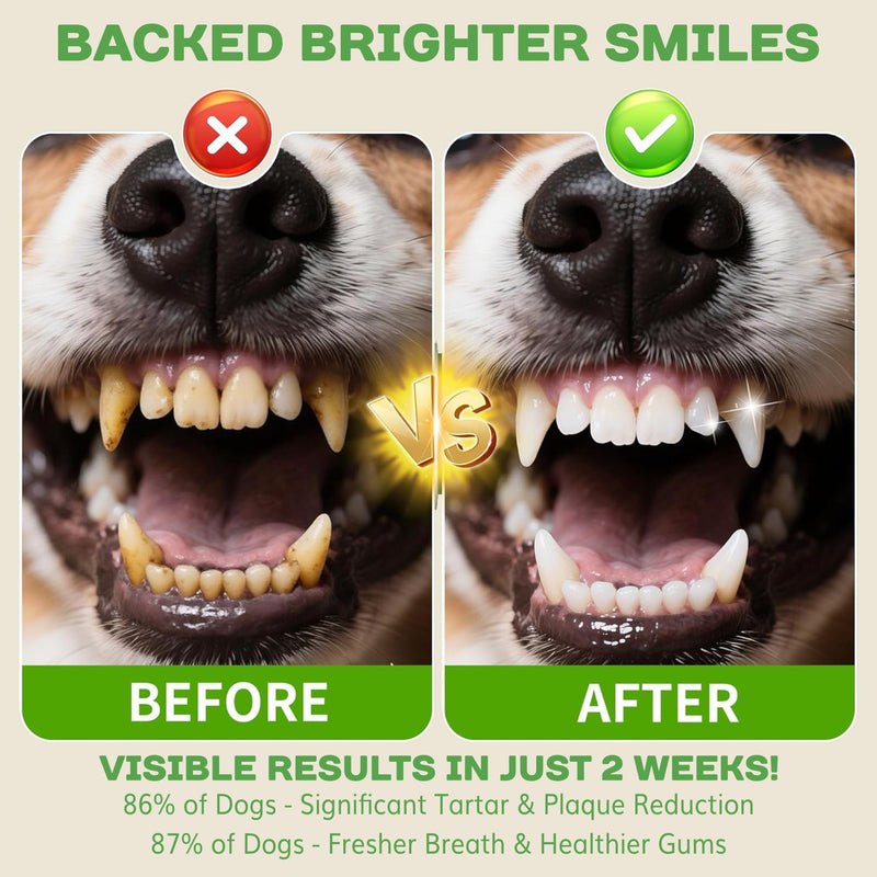 Dog Dental Powder Supplement | Daily Oral Care Support with Enzymes & Probiotics | Mint-Flavored Powder for Dogs | Easy Sprinkle Over Food | 45 Servings