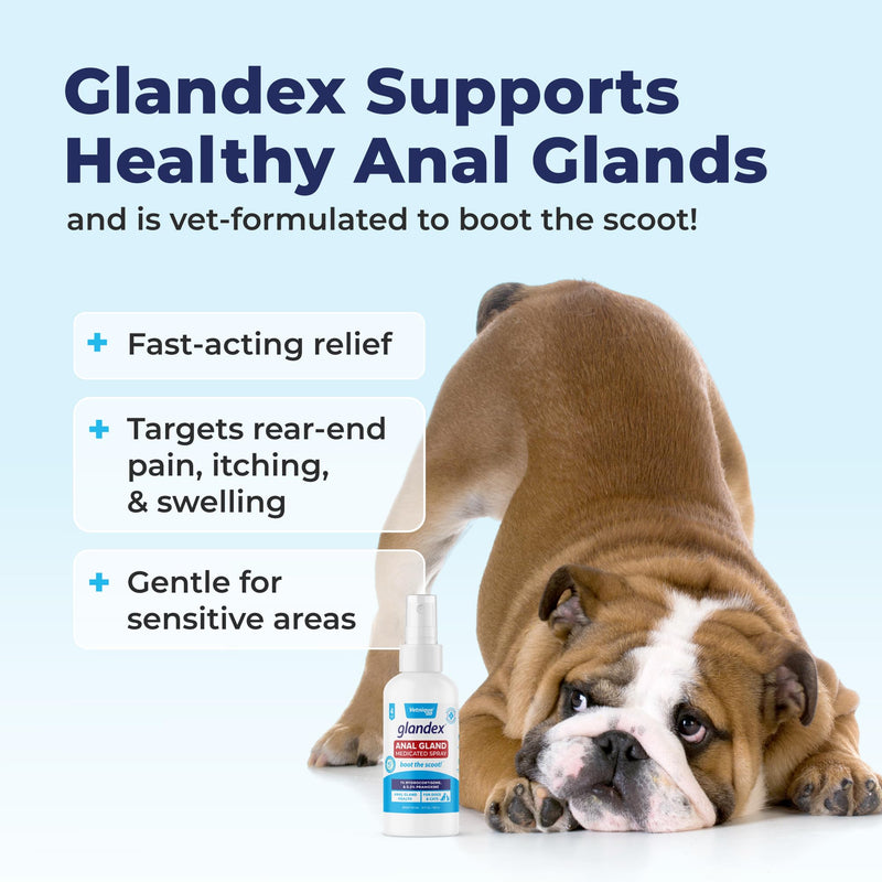 Vetnique Labs Glandex Medicated Dog Anal Gland Spray - Pain Relieving & Anti-Itch Formula to Soothe Inflamed Anal Glands in Dogs & Cats - Fast Acting Clinical Formula - Boot The Scoot (4oz)