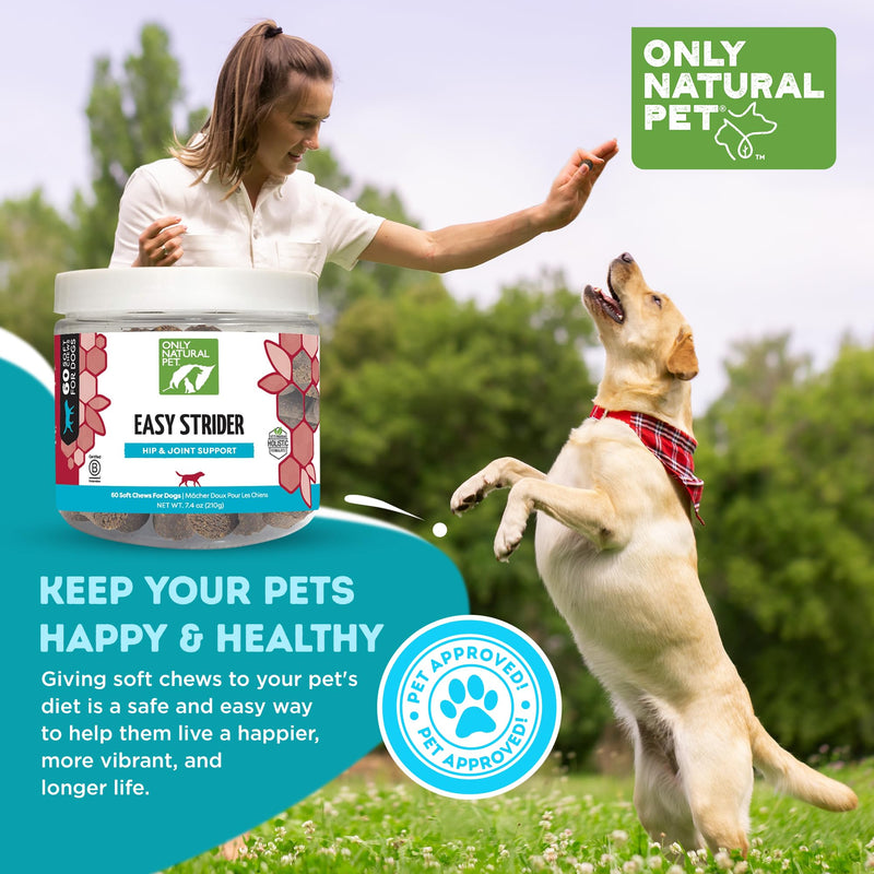 Only Natural Pet Easy Strider Hip and Joint Supplement, All Natural Holistic Glucosamine & Turmeric Formula for Dogs - Made in USA, 60 Soft Chews