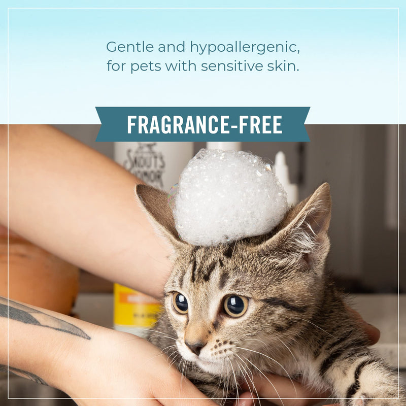SKOUT'S HONOR Probiotic Cat Shampoo & Conditioner with Avocado Oil & Omega-3s, 97% Natural, Paraben & Sulfate-Free, Cruelty-Free, 16oz, Fragrance Free Shampoo & Conditioner- Frangrance Free - PawsPlanet Australia