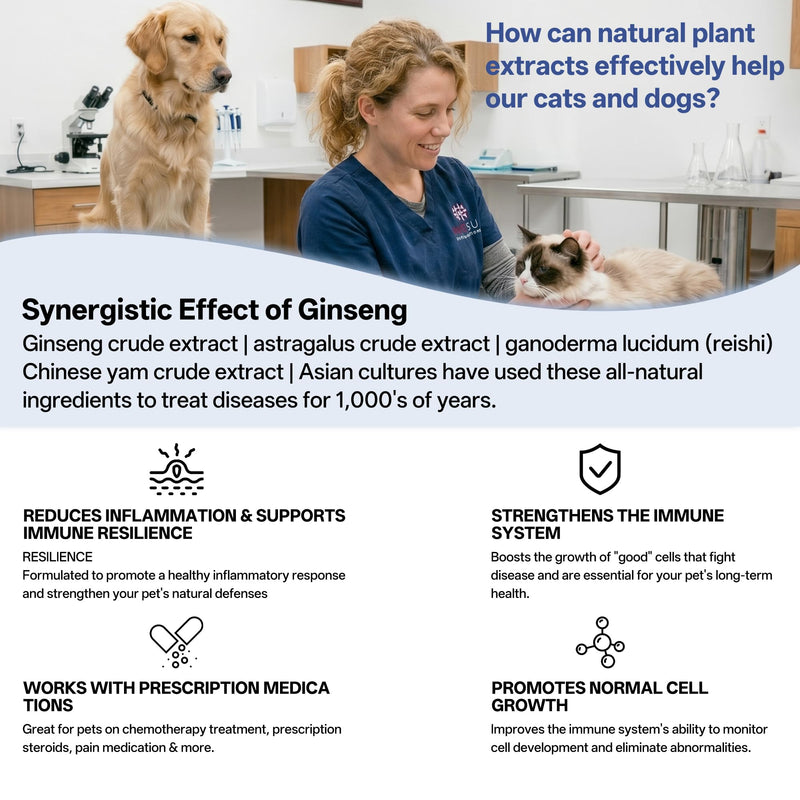 Lactoferrin for Dogs & Cats, Lactoferrin Supplements, Itchy Skin Relief, Containing Taurine and lysine，Immune Support & Gut Health - 100% Single-Ingredient Supplement With Bioactive Nutrients