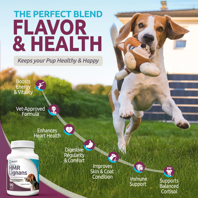 K9 Select HMR Lignans for Dogs - Enhancer for Overall Wellness, Immune Support for Dogs - Norway Spruce Extract Holistic Dog Health - Digestion, & Coat Care - Peanut Butter, 20mg, 90 Tablets - PawsPlanet Australia