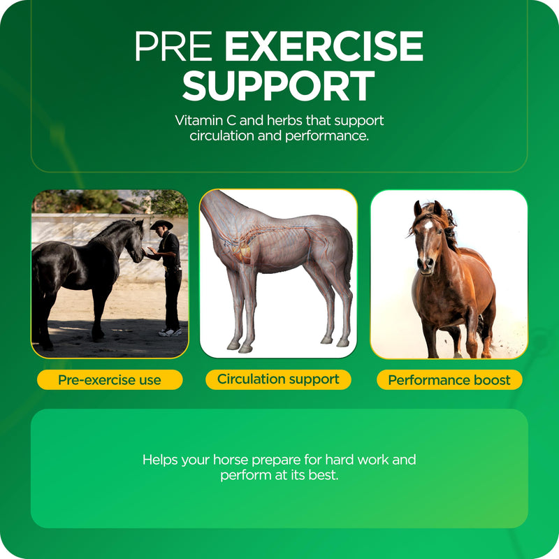 TRM Hemorex Paste for Healthy Horses, Complimentary Feeding Stuff, Essential Nutrients for Before Intensive Exercise - 1.05 oz 1.05 oz (30g) 30g