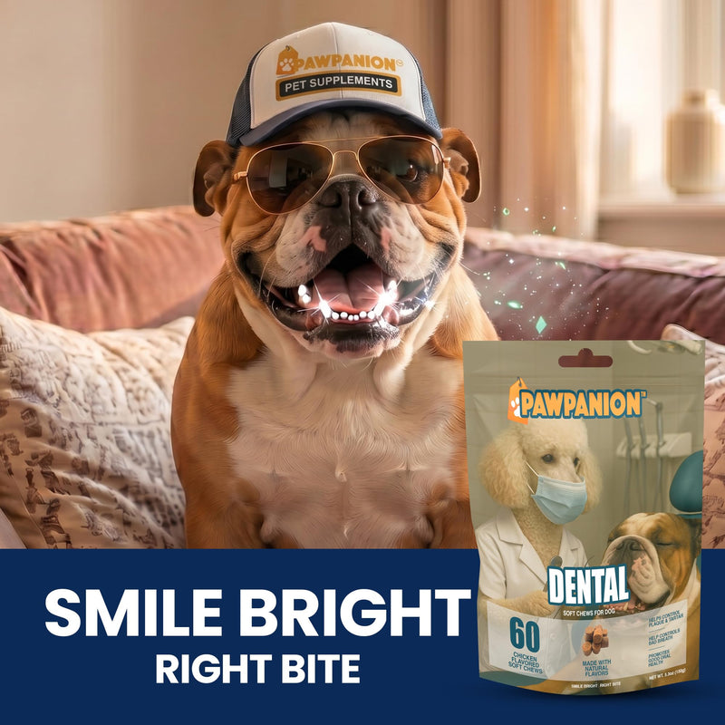 Dental Soft Chews for Dogs, Oral Health & Fresh Breath Support, Probiotics + Seaweed + Zinc, Helps Reduce Plaque & Tartar, 60 Soft Chews Chicken Flavor Dental