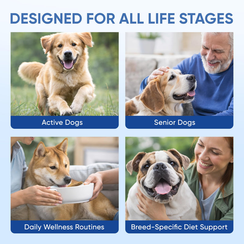 Doggy Supps Taurine for Dogs, Taurine Supplement for Dogs, Immune Support, Boost Energy & Vitality, Skin & Coat Health for Heart, Vision & Daily Wellness, 200 Grams (1) 1