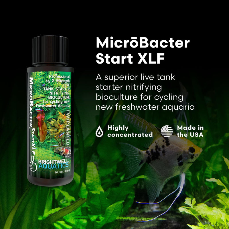 Brightwell Aquatics MicroBacter Start XLF - Concentrated Freshwater Nitrifying Bacteria - Quick Start Fish Tank Starter, Lift Microbe Levels & Water Filtering - Aquarium Water Treatments, 4.22 fl oz 125-ml
