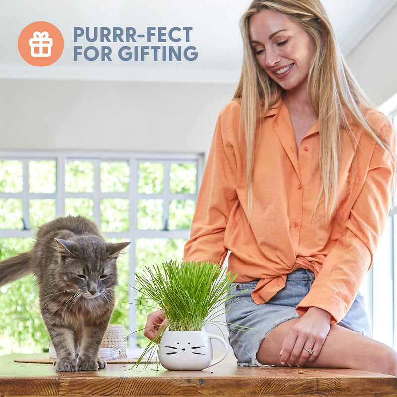 The Cat Ladies Organic Cat Grass for Indoor Cats - Growing Kit with Organic Seed Mix, Soil and White Cat Planter. Natural Hairball Control and Digestion Remedy, Cat Gifts - PawsPlanet Australia