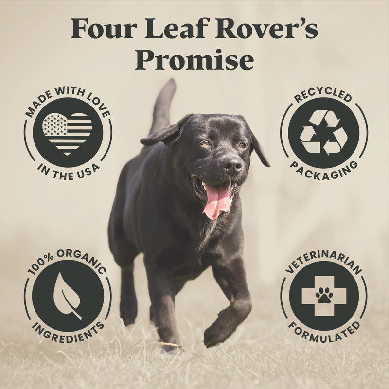 Gut Guard - Dog Probiotics, Prebiotics, and Organic Herbs for Dog Gut Health and Dog Immune Support - Veterinarian Formulated - 30 Day Large Dog Supply