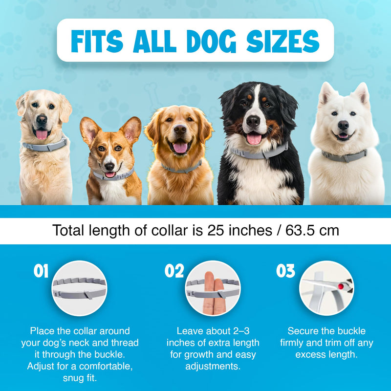 Dog Flea and Tick Collar 8-Month Protection All Natural Flea Collar for Dogs & Puppies with Flea Comb, Shell Comb, Tick Tweezers & Tick Removal Tool | 5-in-1 Dog Flea Collar & Protection Kit