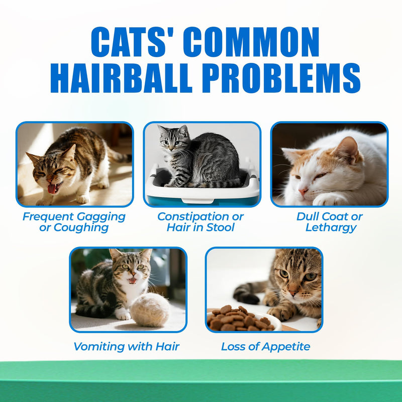 Just Try 300 Bites Hairball Control Cat Treats - Hairball Treatment & Relief for Cats - with Cat Grass, Pumpkin, & Omega-3 Fish Oil, Crunchy Chicken Flavor Crunchy Bites Hairball Support