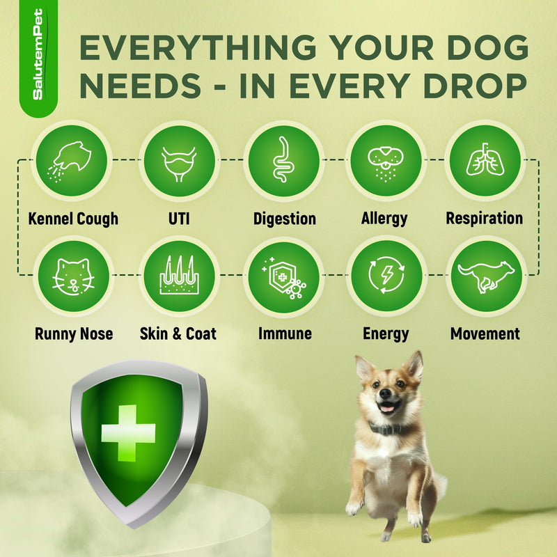 Natural Antibiotics for Dogs | Dog Antibiotics | Supports Dog Allergy Relief | Dog Itch Relief | Dog Allergy Support | Dog Multivitamin | Pet Antibiotics | Dog Antibiotics | 2 Oz Chicken