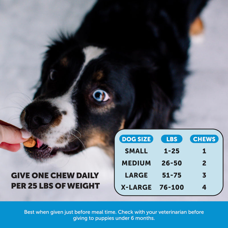 Restore + Soothe Ear Cleaner for Dogs & Cats (Aloe Vera) 4oz + Omega SkinHealth Chews for Dogs with Omega 3 Fish Oil and Salmon Oil for Healthy Skin, Itchy Skin Relief (90 Count)