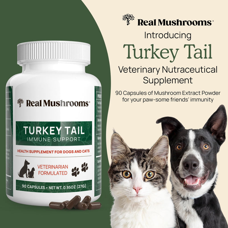 Turkey Tail Pet Support - Dog Multivitamins and Supplements for Immune Support, Gut Health & Wellness - Grain-Free, Gluten-Free, Vet-Approved Dog Supplement (90ct) Turkey Tail Mushrooms Pet