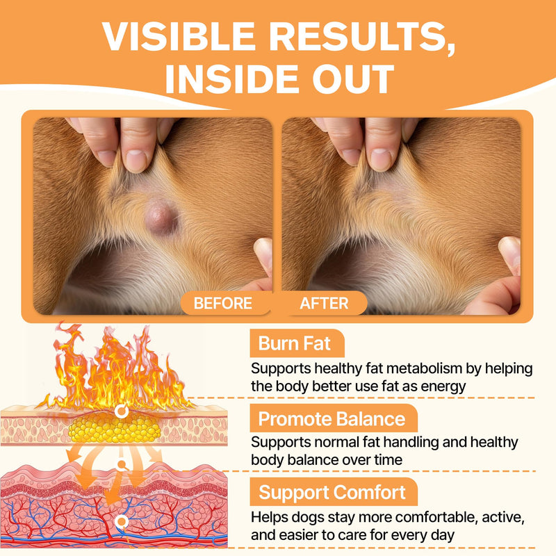 Lipoma Treatment for Dogs, Guard for Dogs Lumps and Bumps, Helps Shrink Fatty Tumors Naturally, Reduces Lipomas inDogs with L-Carnitine & Antioxidants, Supports Fat Metabolism, Vitality, Longevity