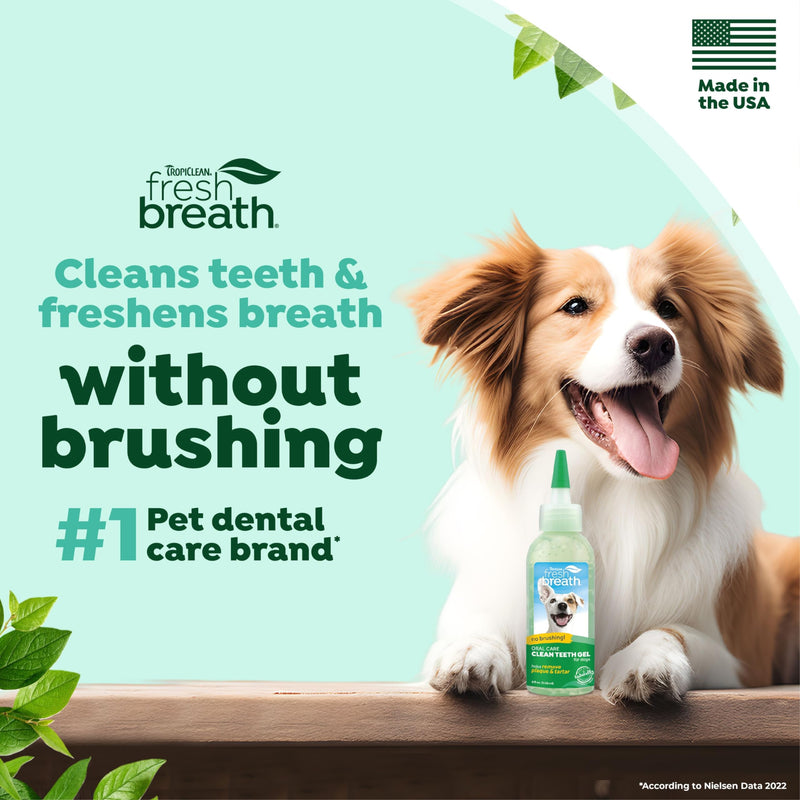 TropiClean Fresh Breath Dog Toothpaste for Teeth Cleaning, Breath Freshener, Easy to Use Plaque & Tartar Remover Gel, No Toothbrush Needed, 4oz. Original 4 Fl Oz (Pack of 1) - PawsPlanet Australia
