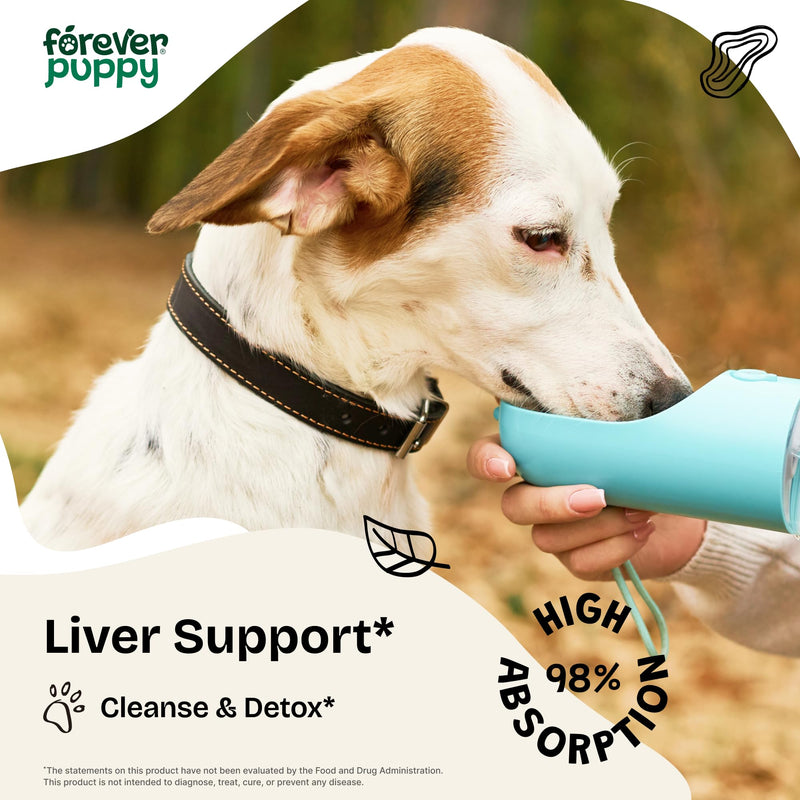 Forever Puppy Liver Support for Dogs - Liquid Milk Thistle Extract for Dogs - Liver Detox Vitamins and Supplements for All Breeds & Sizes - Sugar & Alcohol-Free Drops - 4 oz 4 fl oz